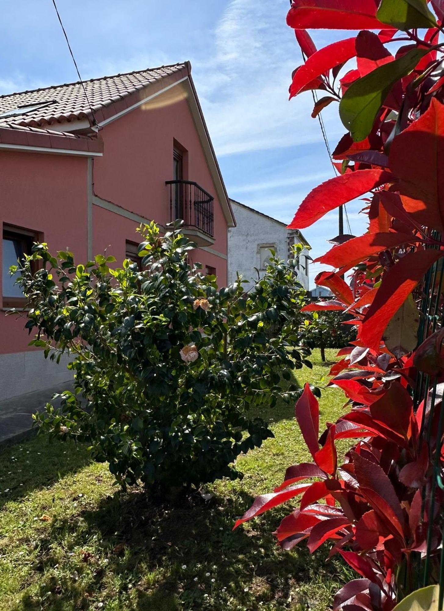 فيلا Casa Bieiteiros Valdoviño المظهر الخارجي الصورة